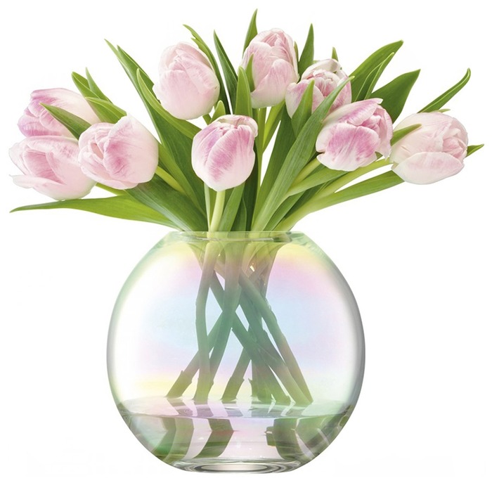 ���� LSA Pearl (G1161-16-916), �������������