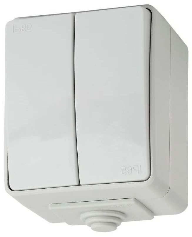 Выключатель двухклавишный ЭРА Эксперт 10AX 250V IP65 11-1604-03 Б0035976