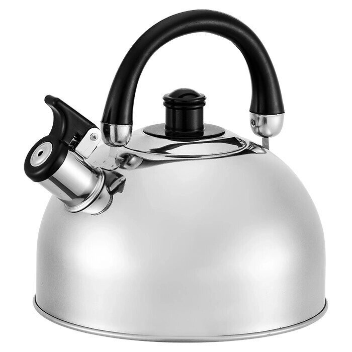 Чайник со свистком Webber BE-0528 4.5 л, стальной
