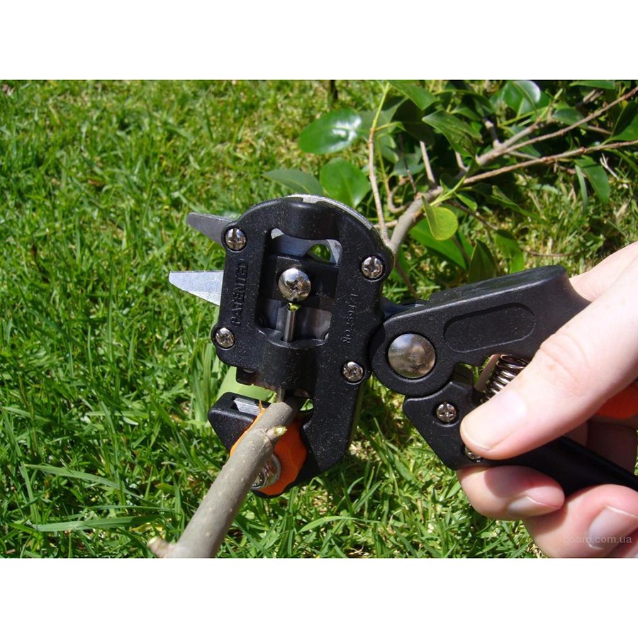 ����������� ������� Grafting Tool - ����������������